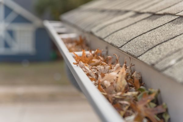 Leaf Barrier Installation in Holly Springs